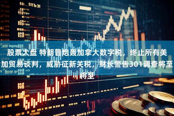 股票大盘 特朗普炮轰加拿大数字税，终止所有美加贸易谈判，威胁征新关税，财长警告301调查将至