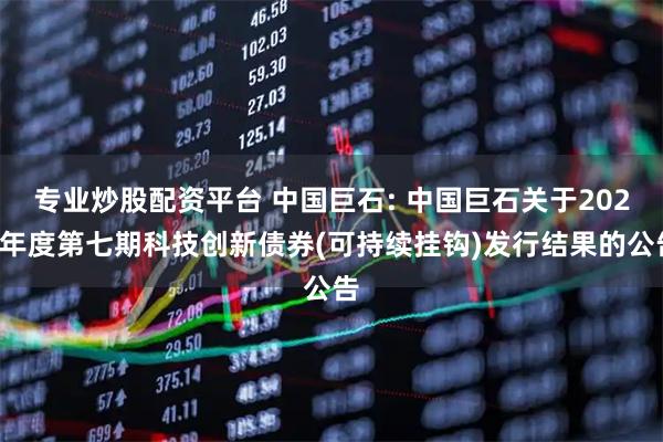 专业炒股配资平台 中国巨石: 中国巨石关于2025年度第七期科技创新债券(可持续挂钩)发行结果的公告