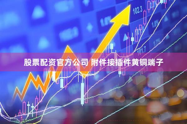 股票配资官方公司 附件接插件黄铜端子