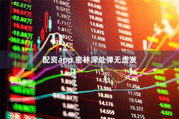 配资app 密林深处弹无虚发